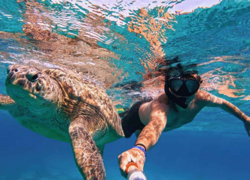 Snorkeling Morze Czerwone dla początkujących
