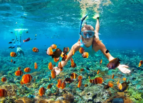 Snorkeling w Hurghadzie z FunnyPicnic: Najpiękniejsze rafy Morza Czerwonego