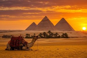 Majestic,Pyramids,Of,Giza,At,Sunset,With,Camel,In,Egyptian
