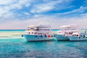cruise-yacht-bow-in-clear-water-near-a-coral-reef-red-sea-egypt-500x500 (1)